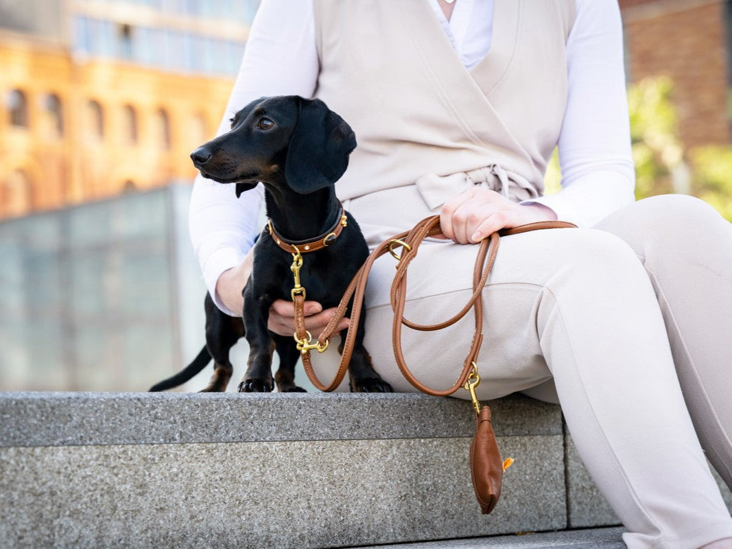 Verstellbare Leinen 2 m