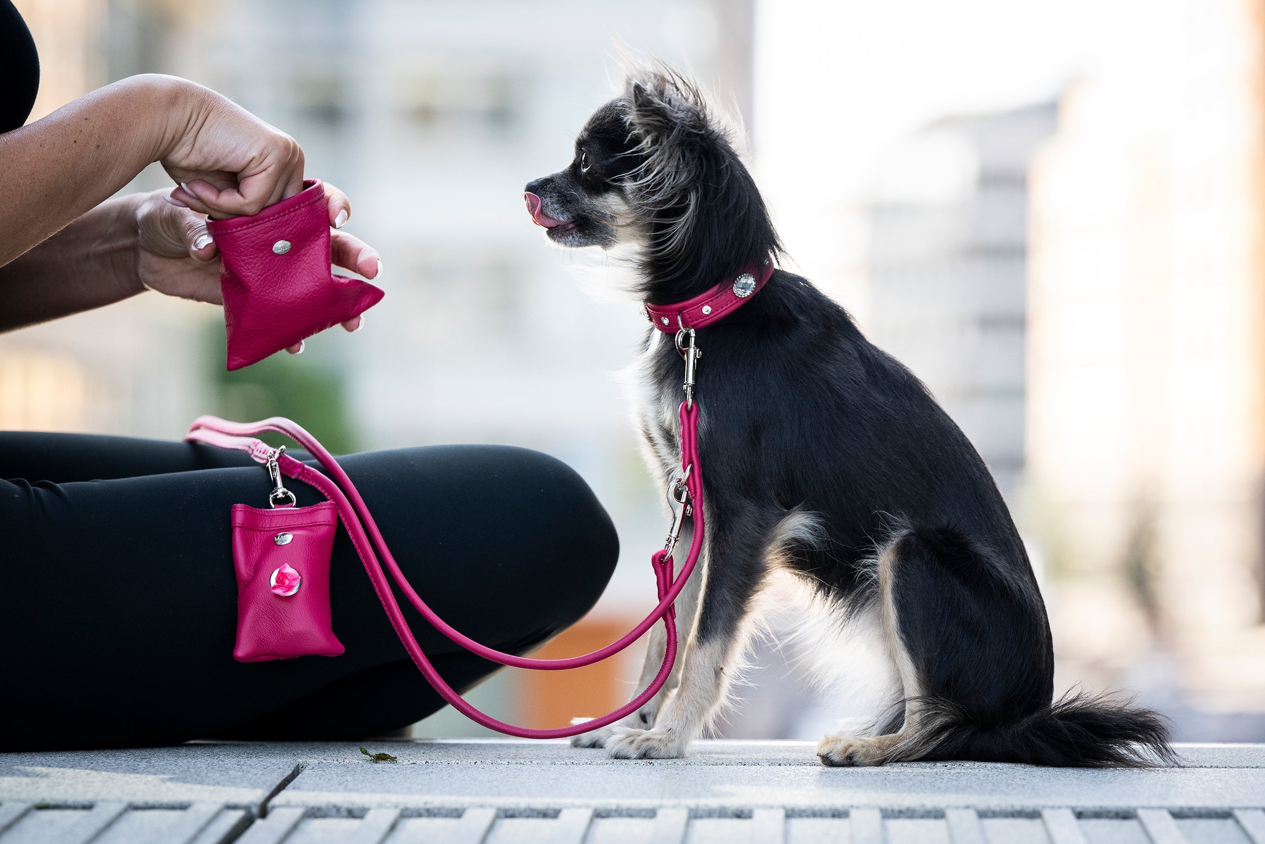 Halsbänder für Minis und Kleinhunde