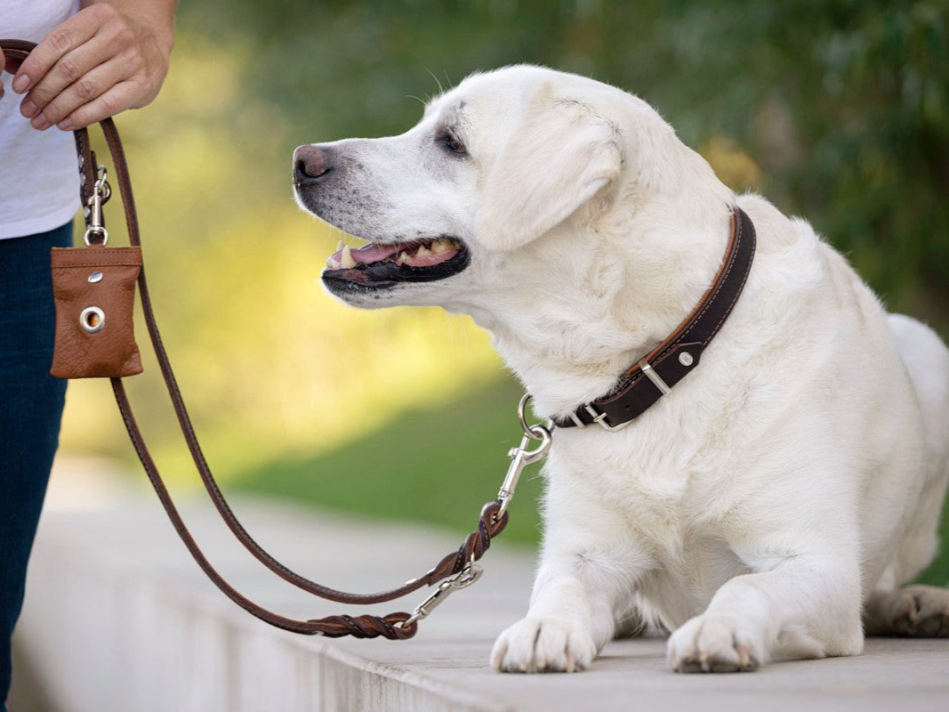 Zugstopp Halsbänder