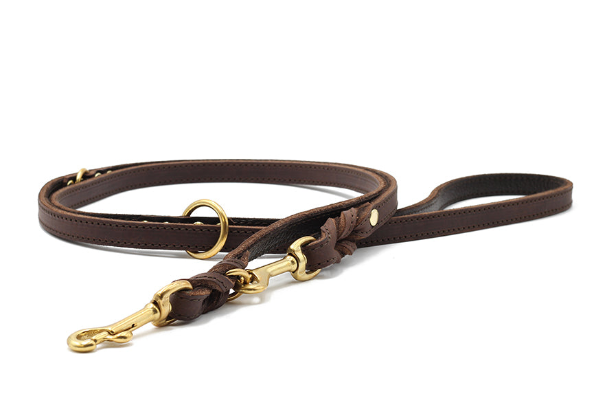 Lederleine Klassik Premium 2m Gold