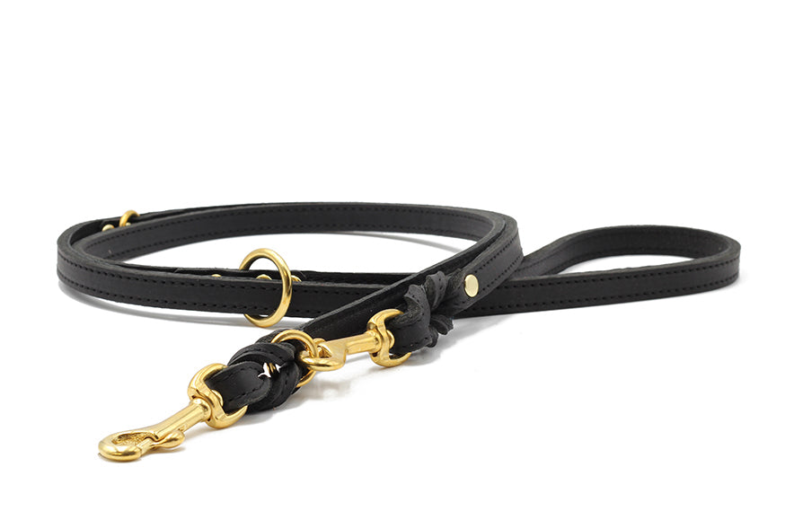 Lederleine Klassik Premium 2m Gold