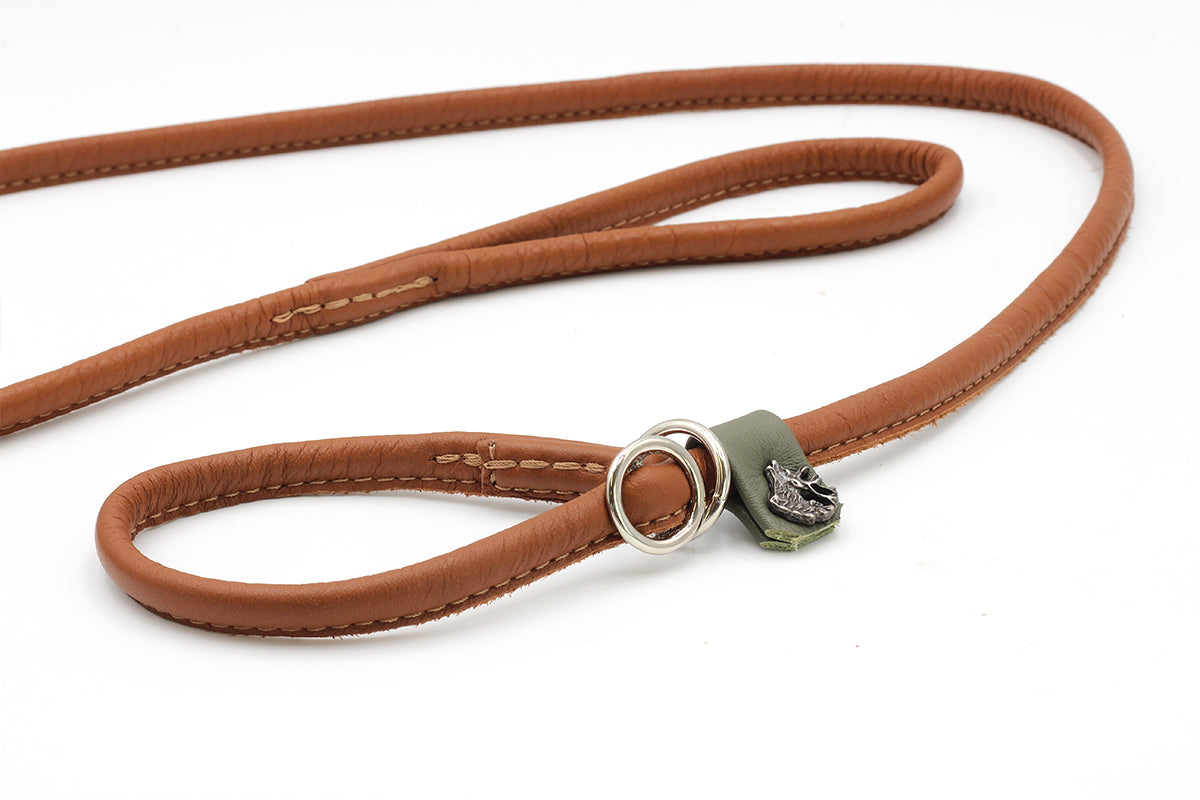 Retrieverleine Jagdglück