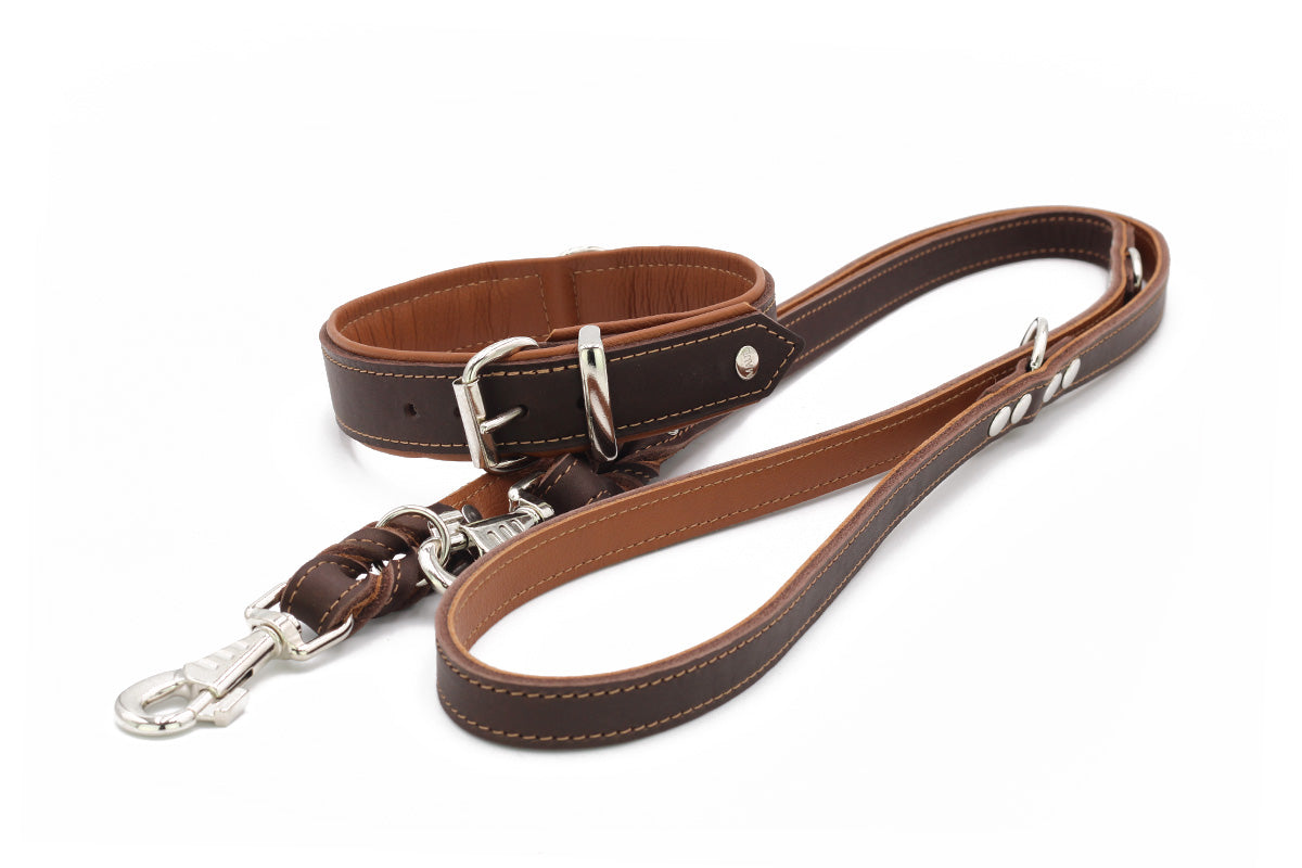 Halsband Klassik Premium