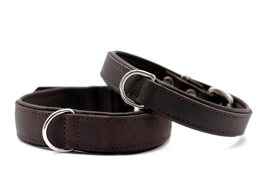 Halsband Klassik Premium