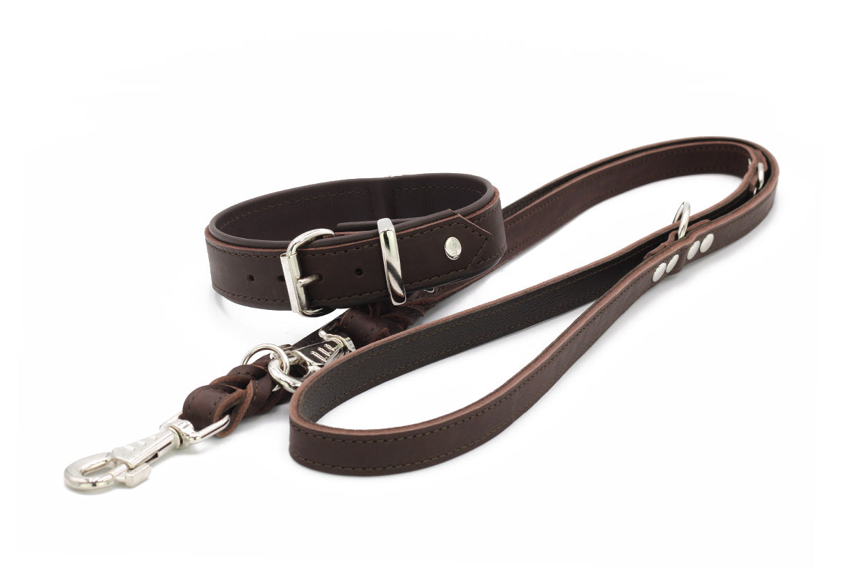 Halsband Klassik Premium