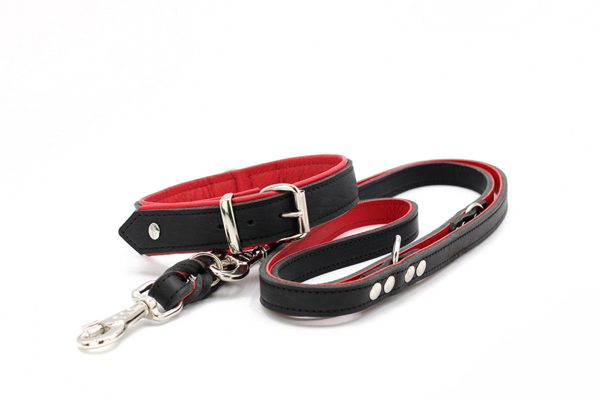 Halsband Klassik Premium