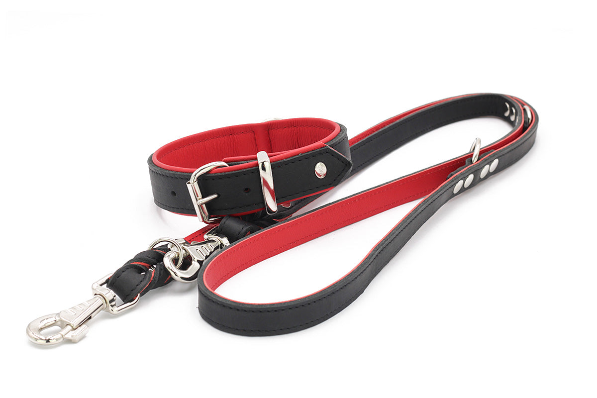 Halsband Klassik Premium