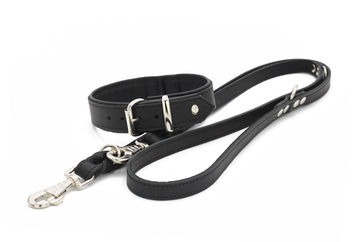 Halsband Klassik Premium