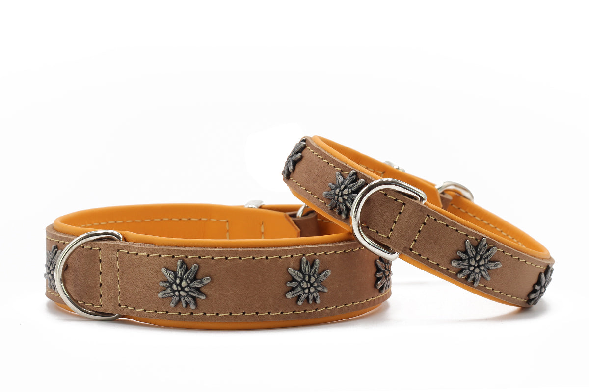 Halsband Edelweiss