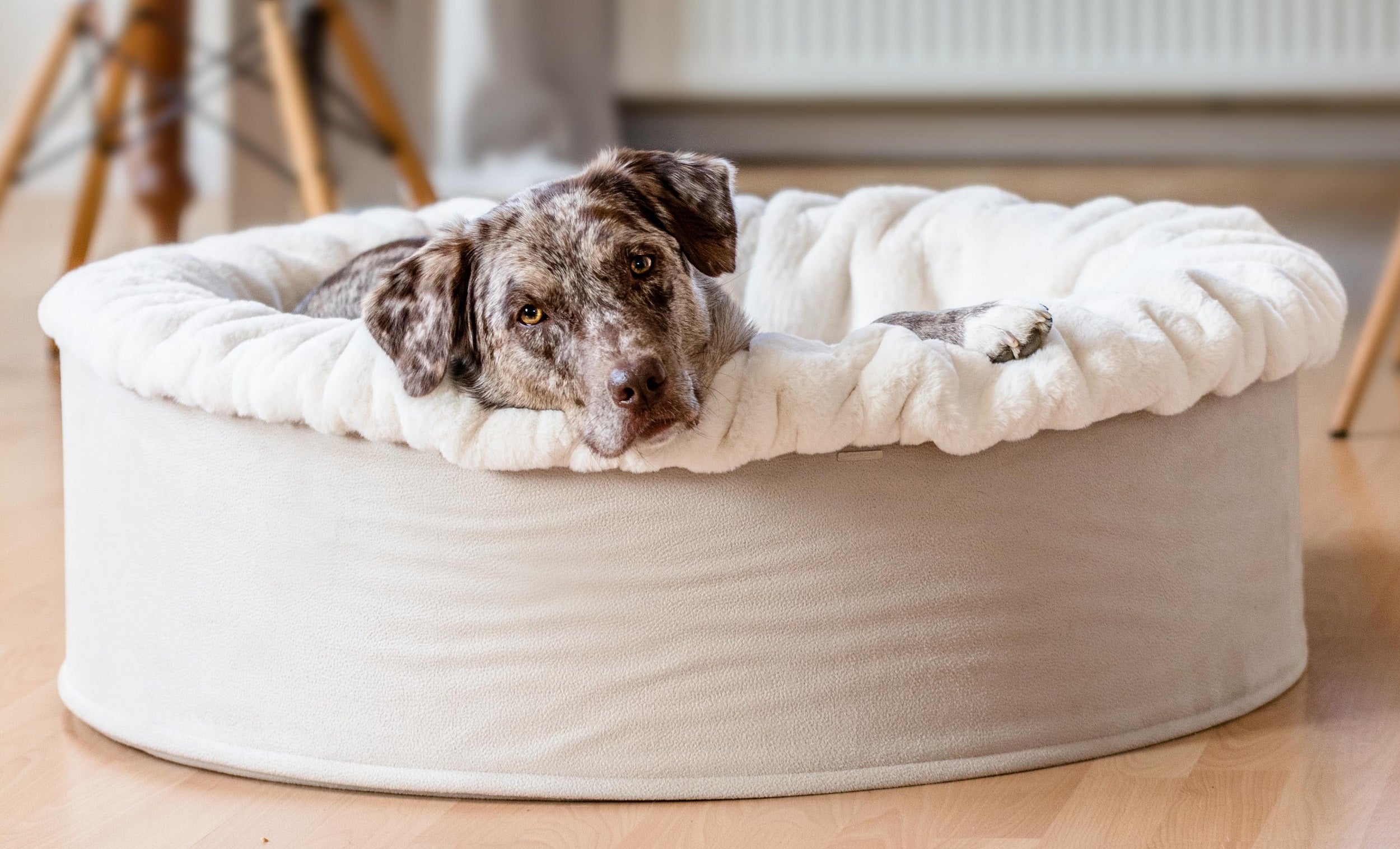 Hundebett Buddelnest®