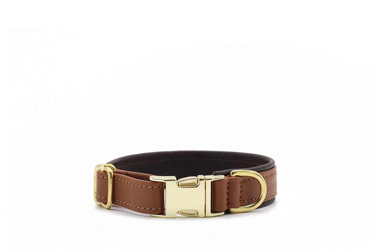 Halsband Klassik Klick
