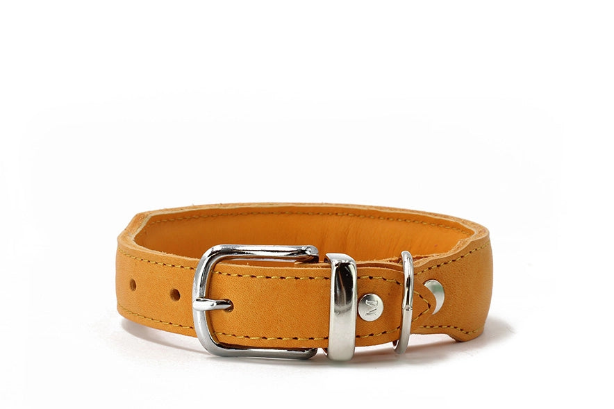 Halsband gepolstert Mono Pop