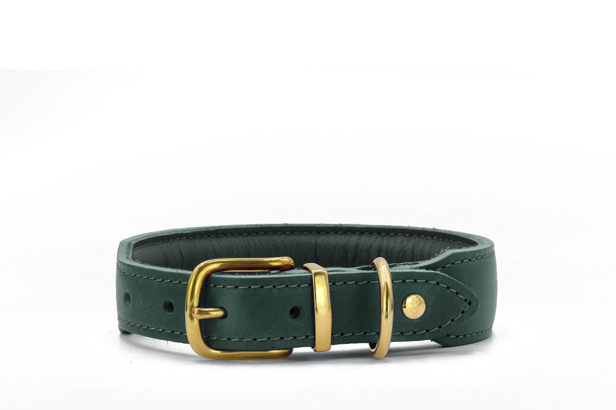 Halsband Mono Pop Herbst Edition