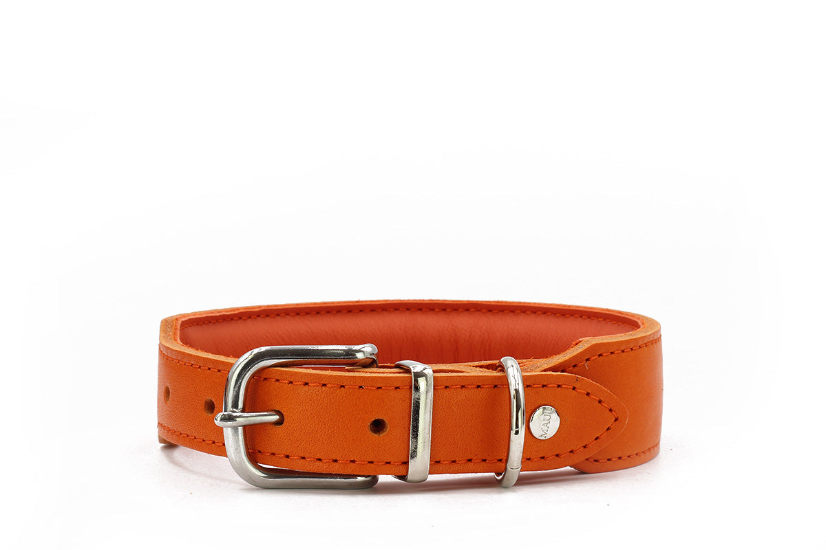 Halsband Mono Pop Herbst Edition