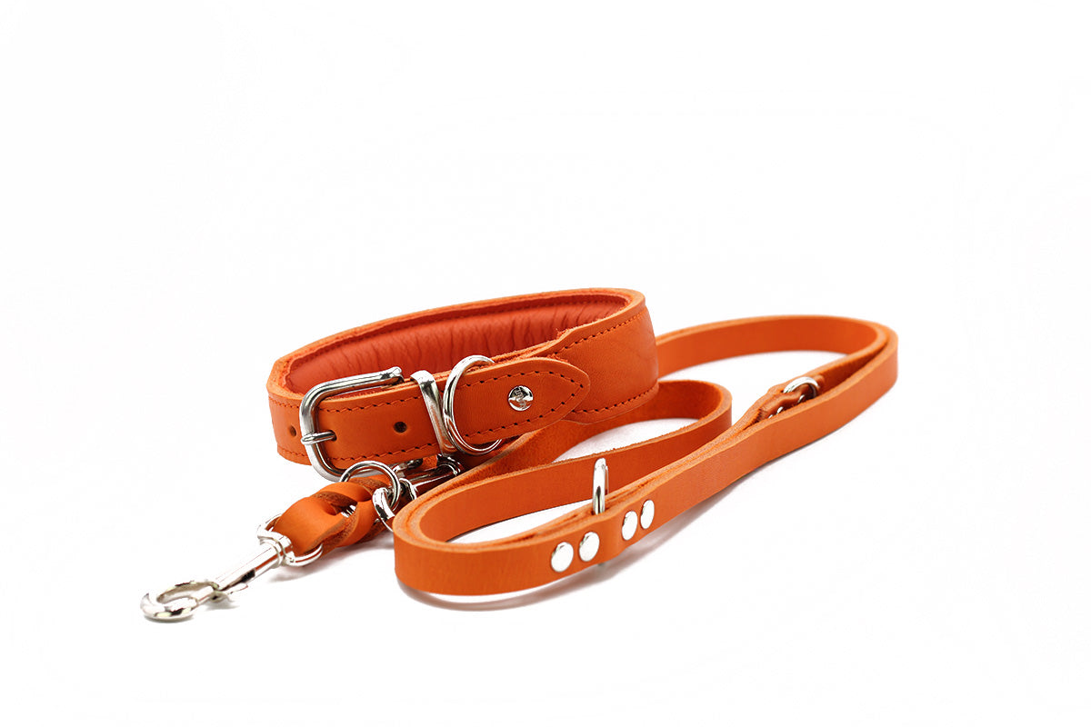 Halsband Mono Pop Herbst Edition