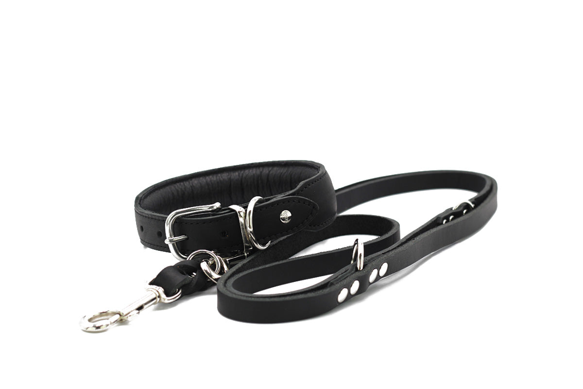 Halsband Mono Pop Herbst Edition
