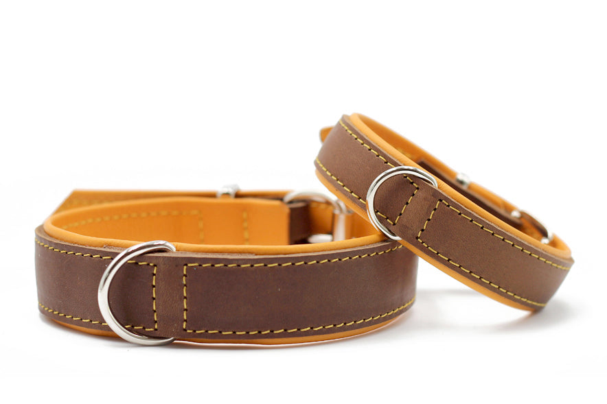 Halsband Klassik Premium Mokka