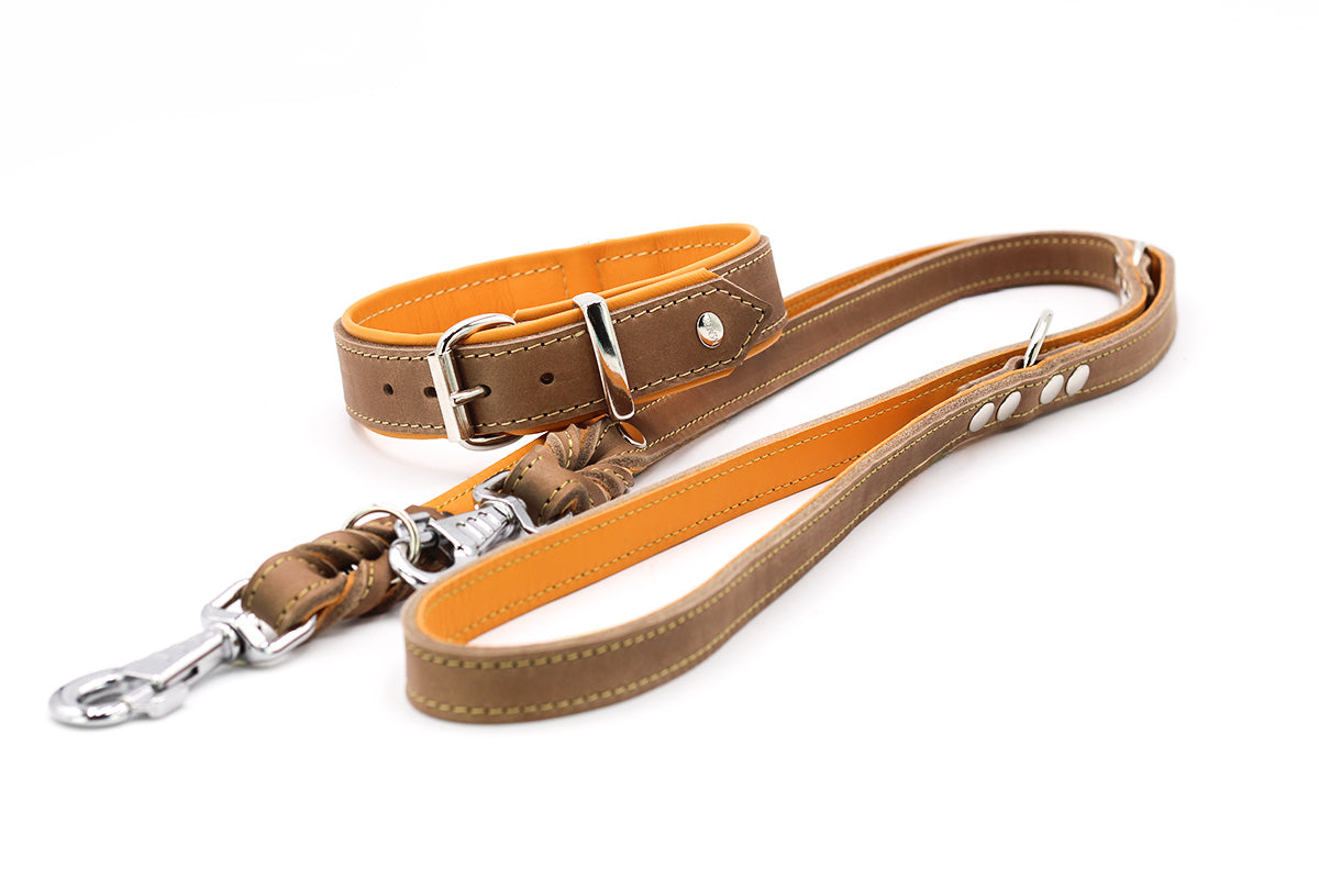 Halsband Klassik Premium Mokka