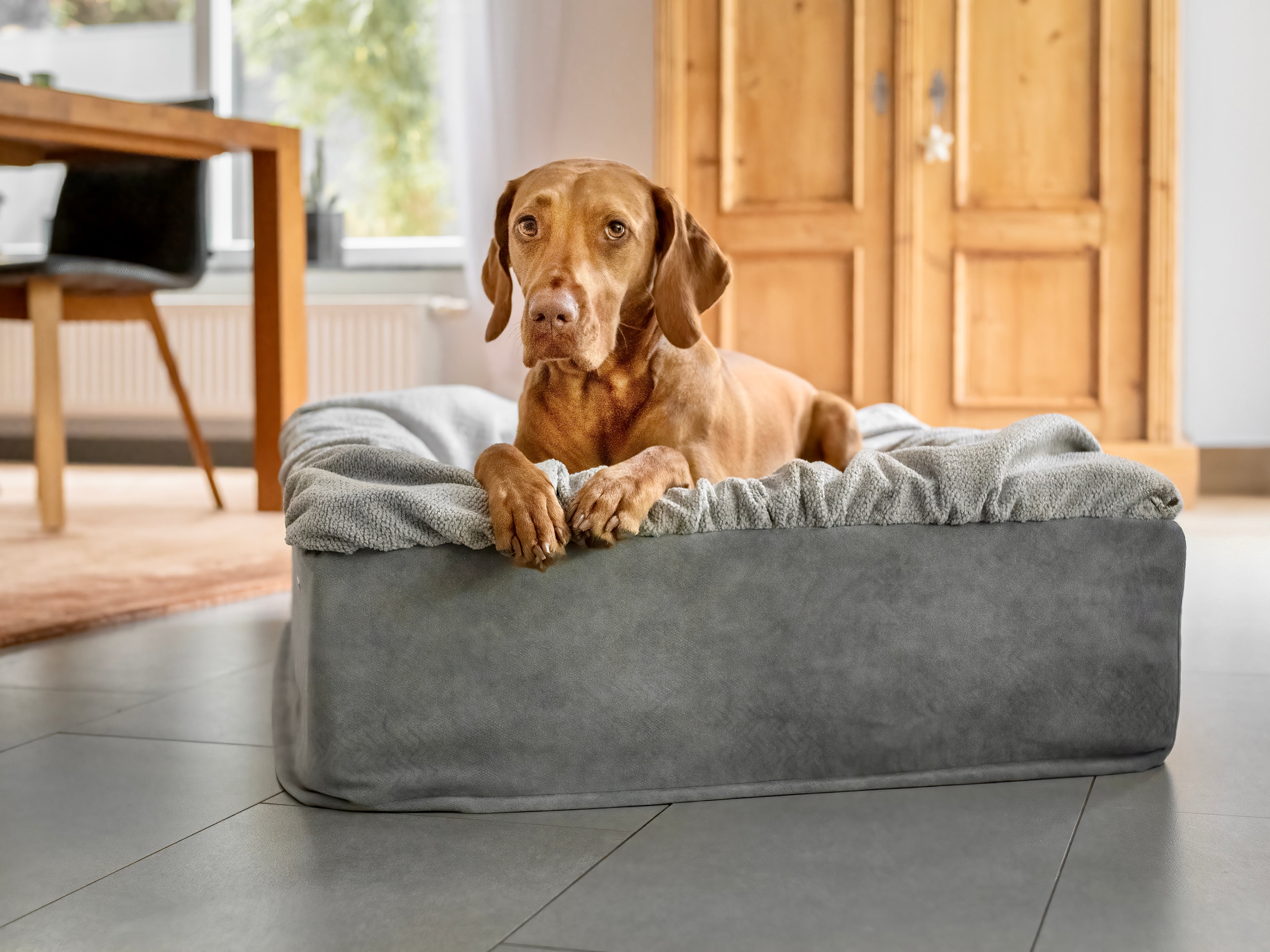 Buddelbox® Snooze
