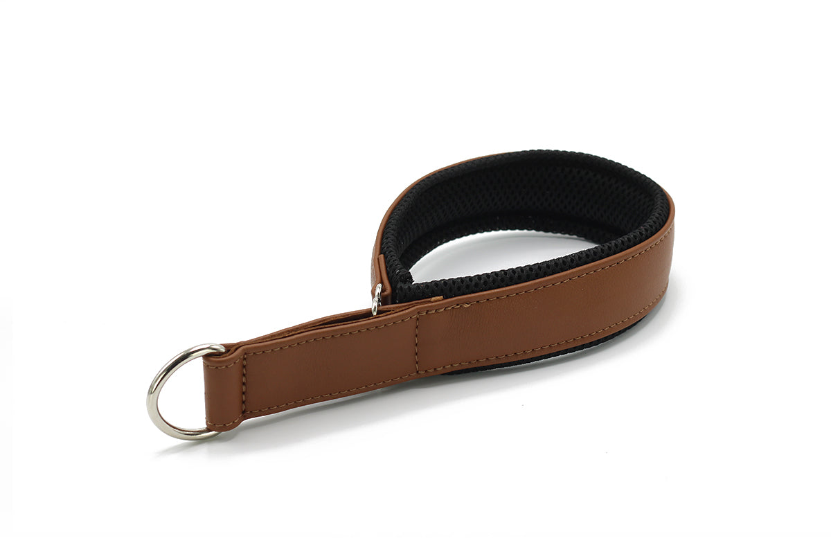 Halsband Windhund Active