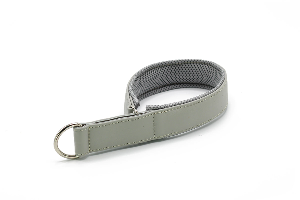 Halsband Windhund Active