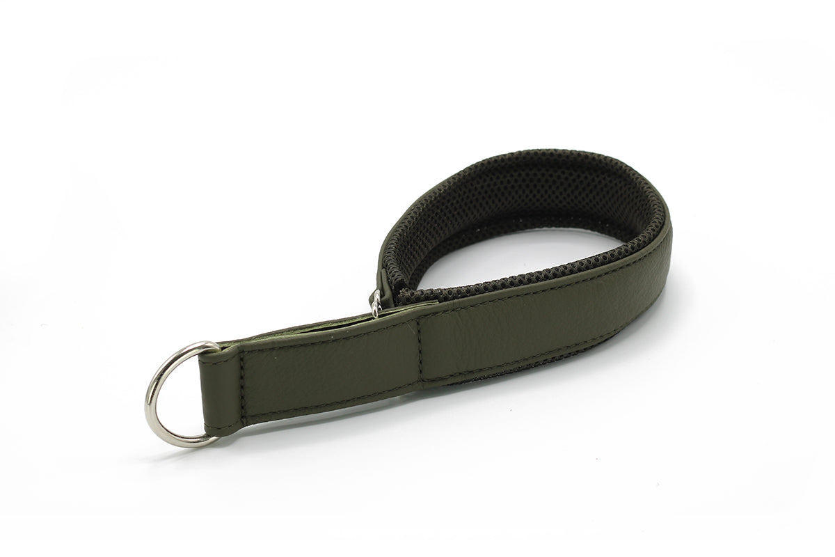 Halsband Windhund Active