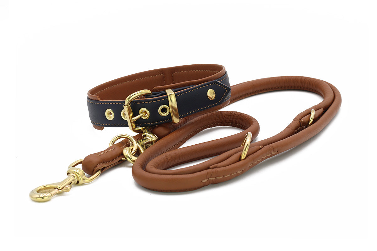 Halsband Klassik Exklusiv