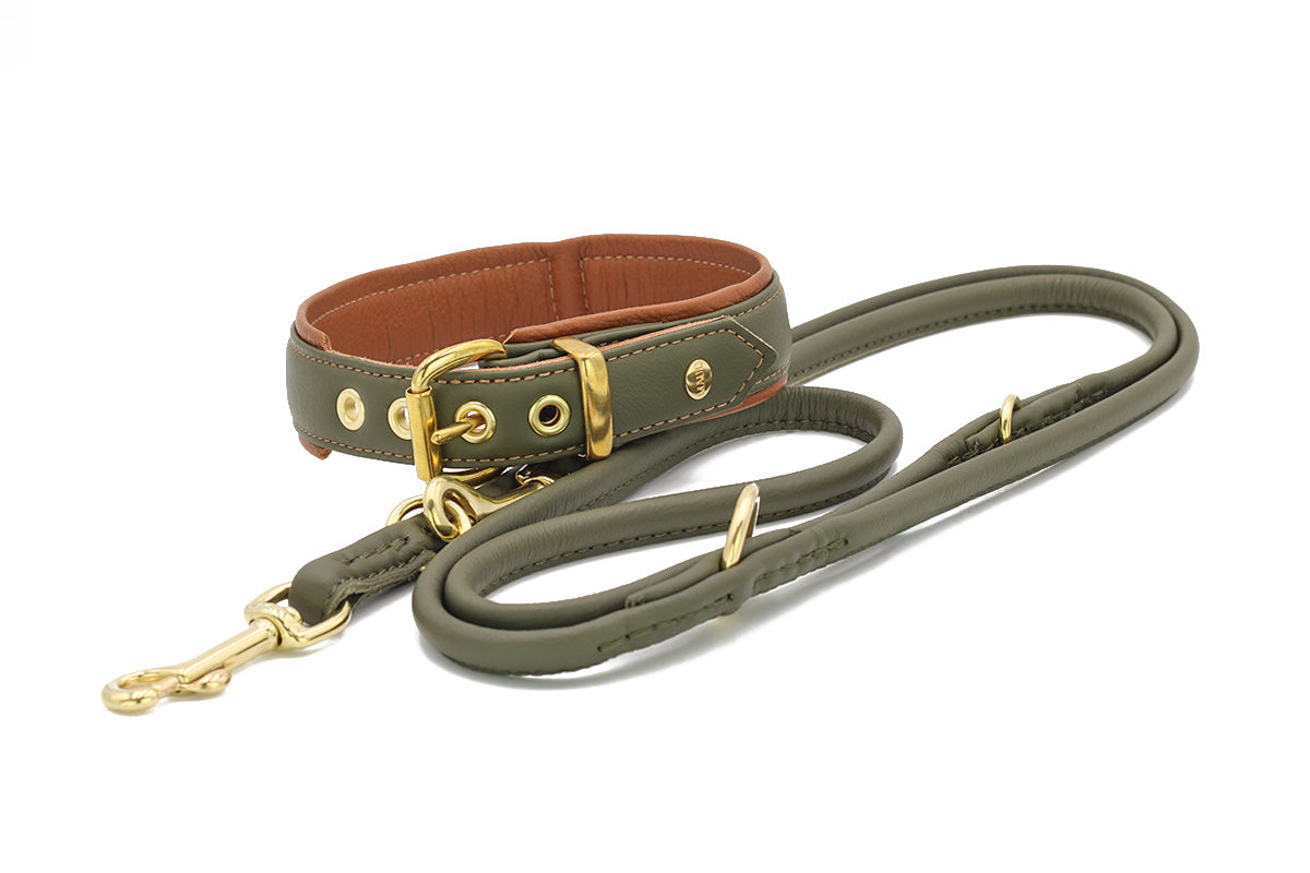 Halsband Klassik Exklusiv