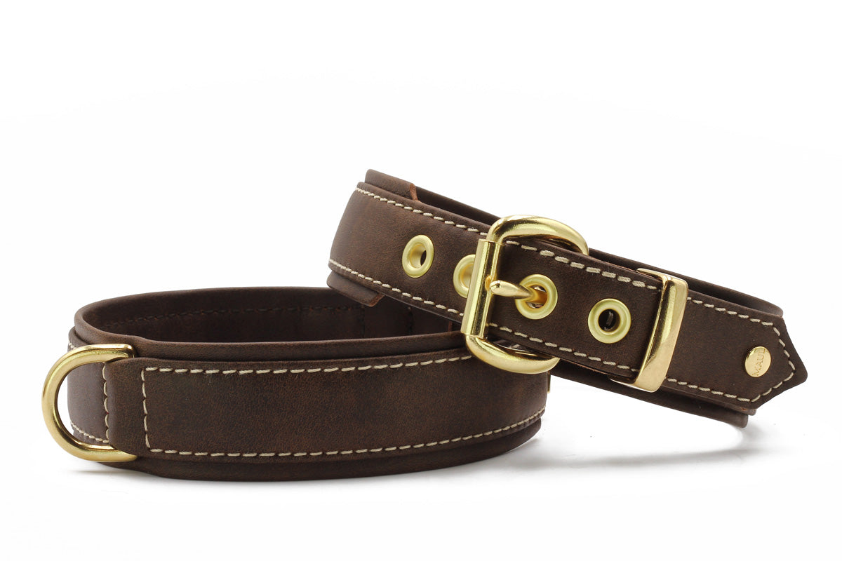 Lederhalsband „Old English“ – Klassik trifft Qualität