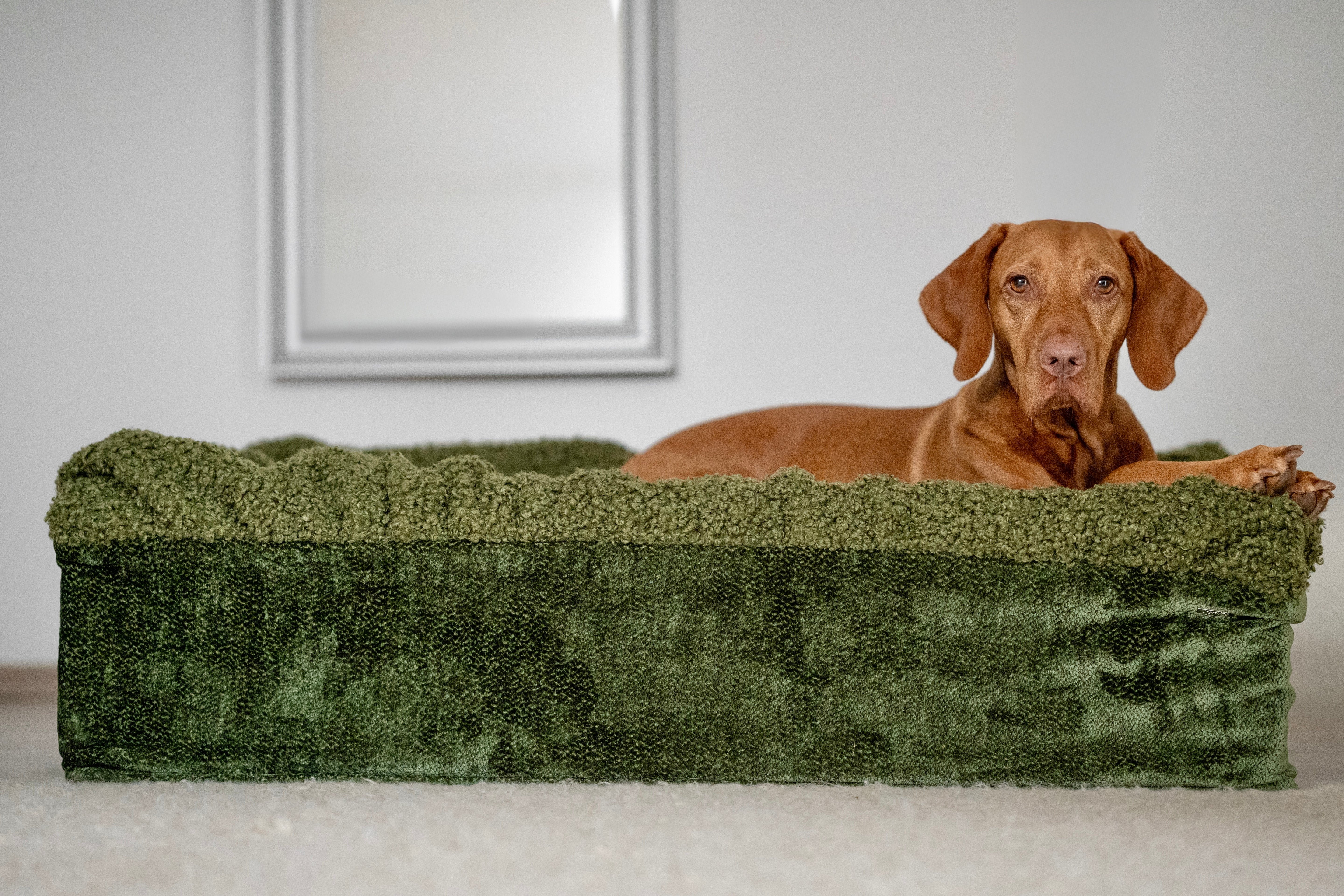 Hundebett Buddelbox®