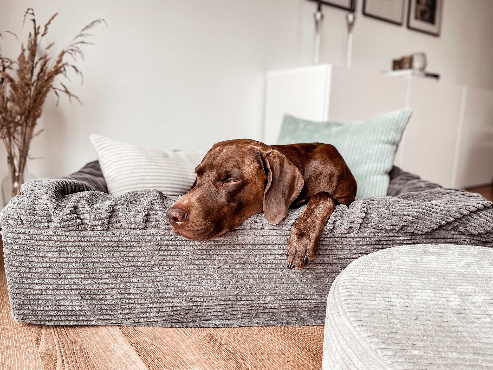 Hundebett Buddelbox® Cord