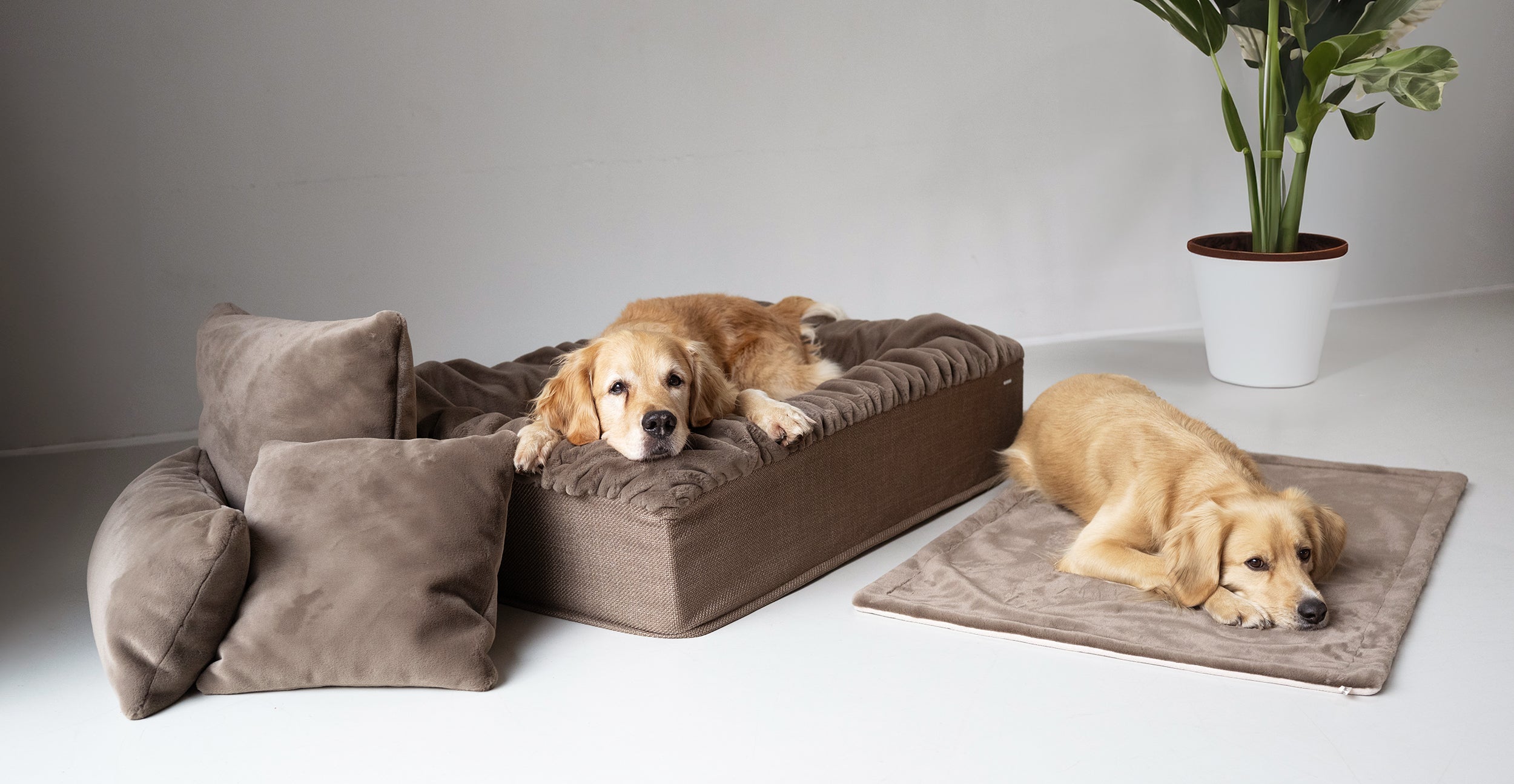 Hundebett Buddelbox®