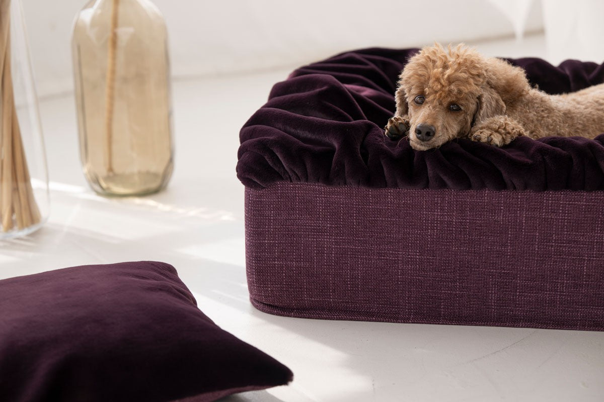 Hundebett Buddelbox®