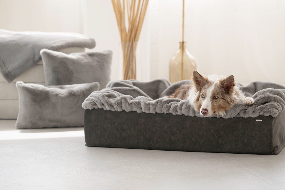Hundebett Buddelbox®
