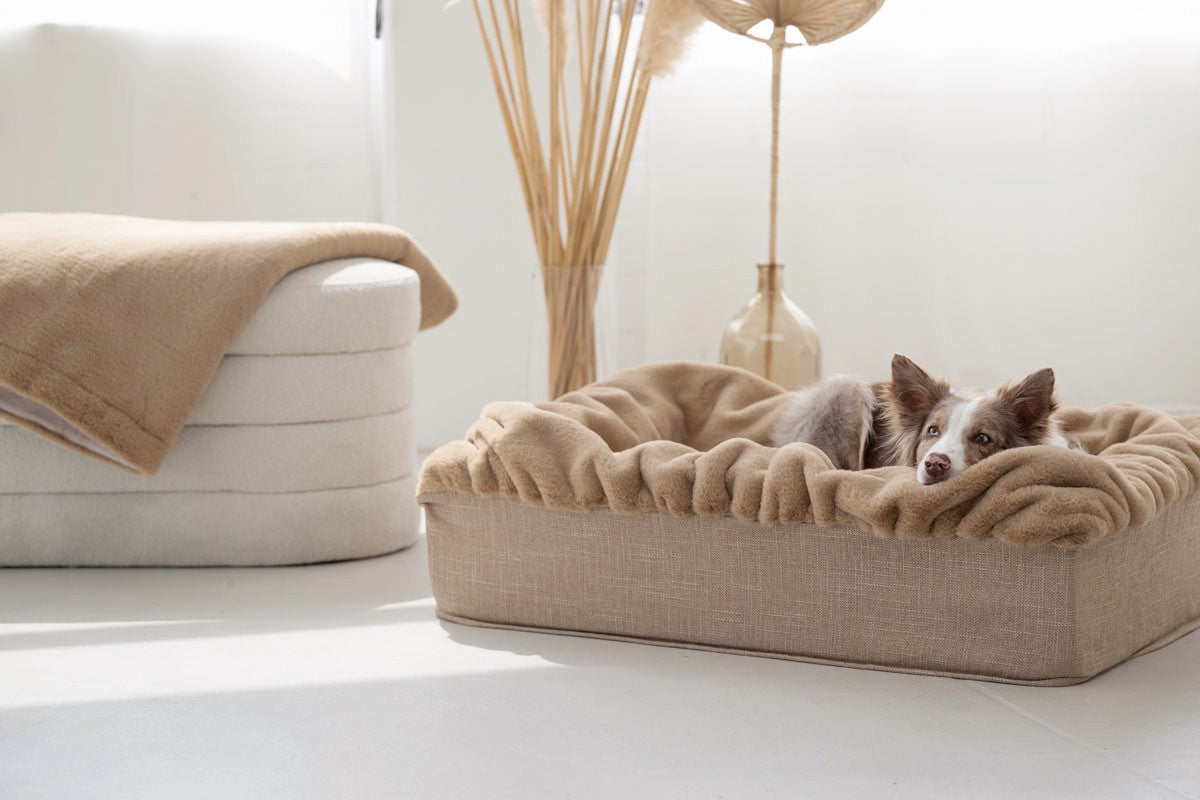 Hundebett Buddelbox®