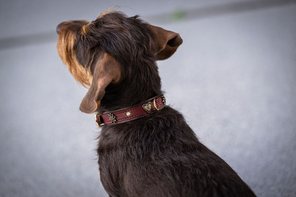 Halsband Mini Herzilein Burgundy