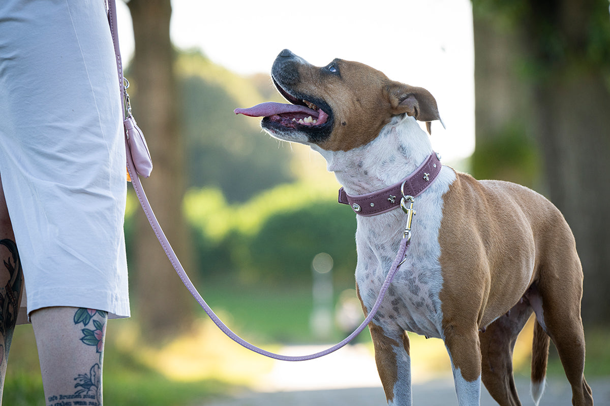 Cityleine 1,20m Silber