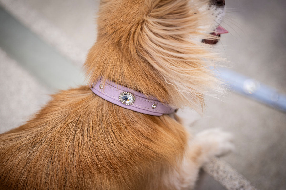 Halsband Mini Diamond