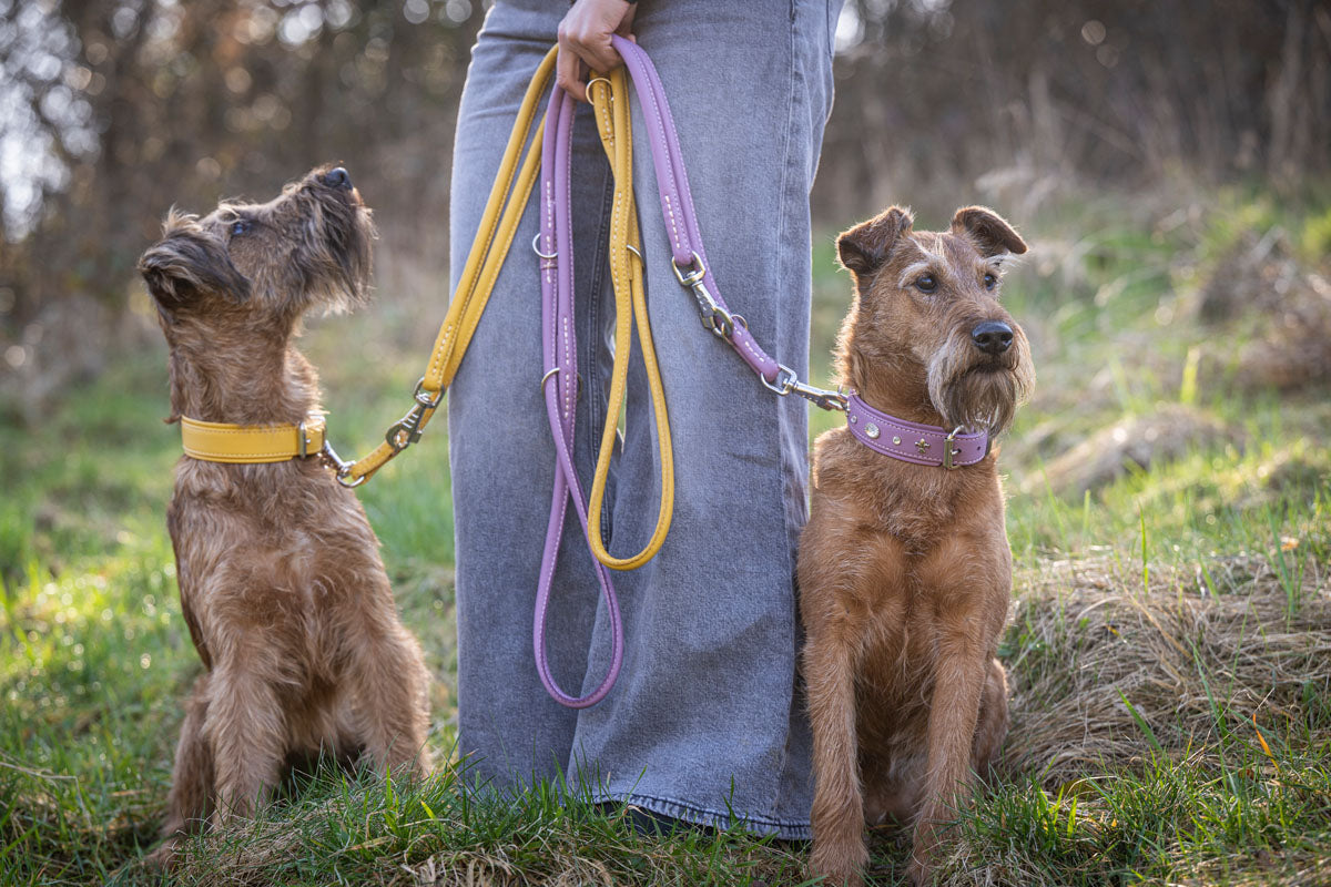 Lederleine Rundgenäht 2m Silber