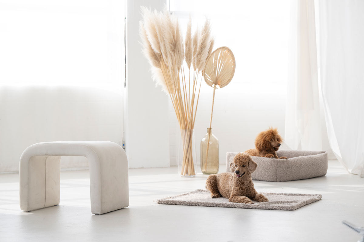 Hundebett Teddy