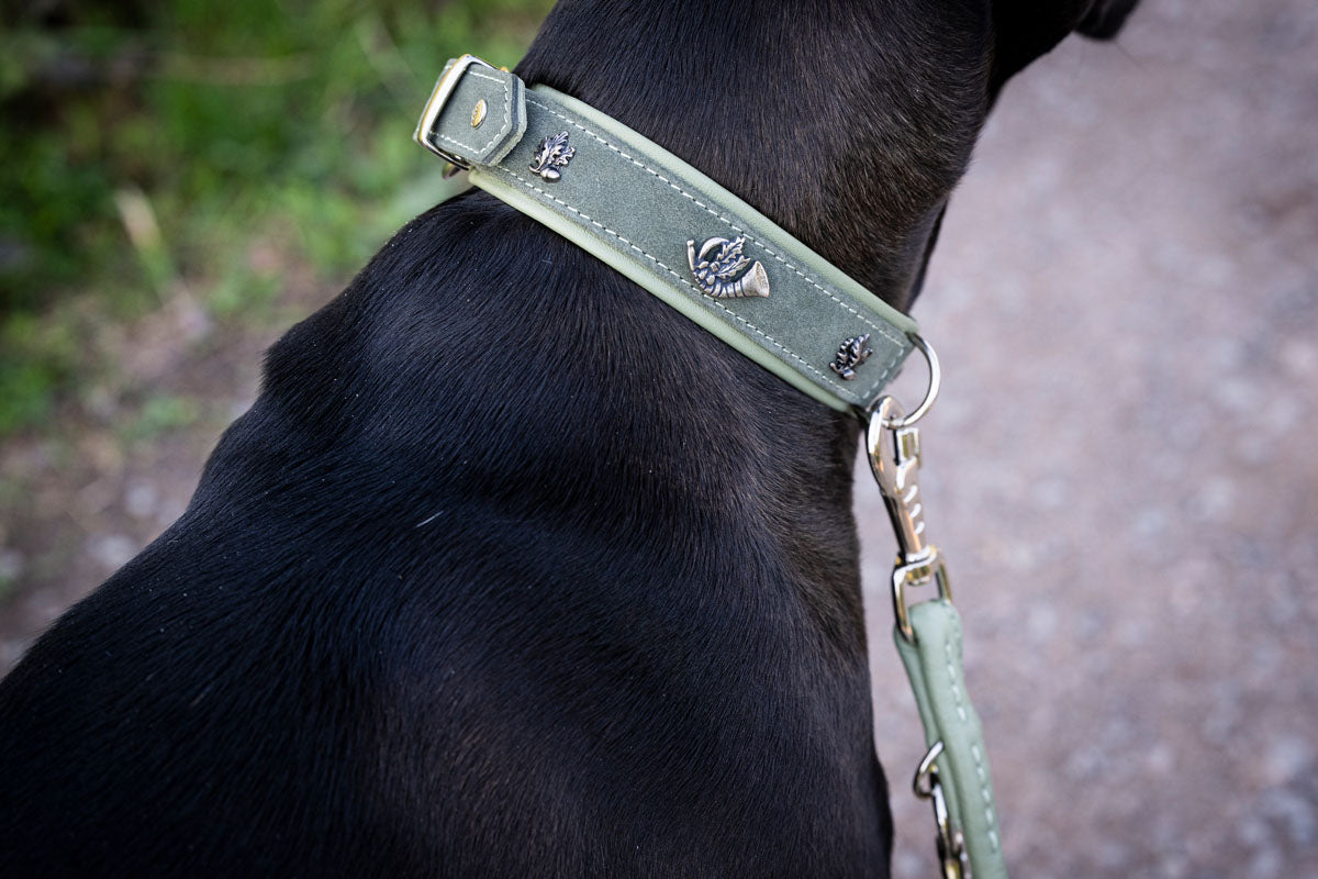 Halsband Alpenhorn & Edelweiss