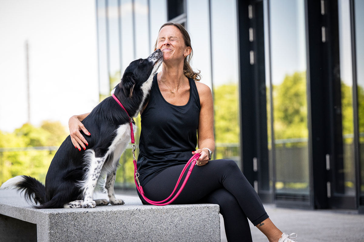 Lederleine Rundgenäht 2m Silber