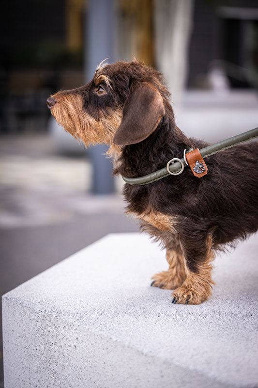 Retrieverleine Jagdglück