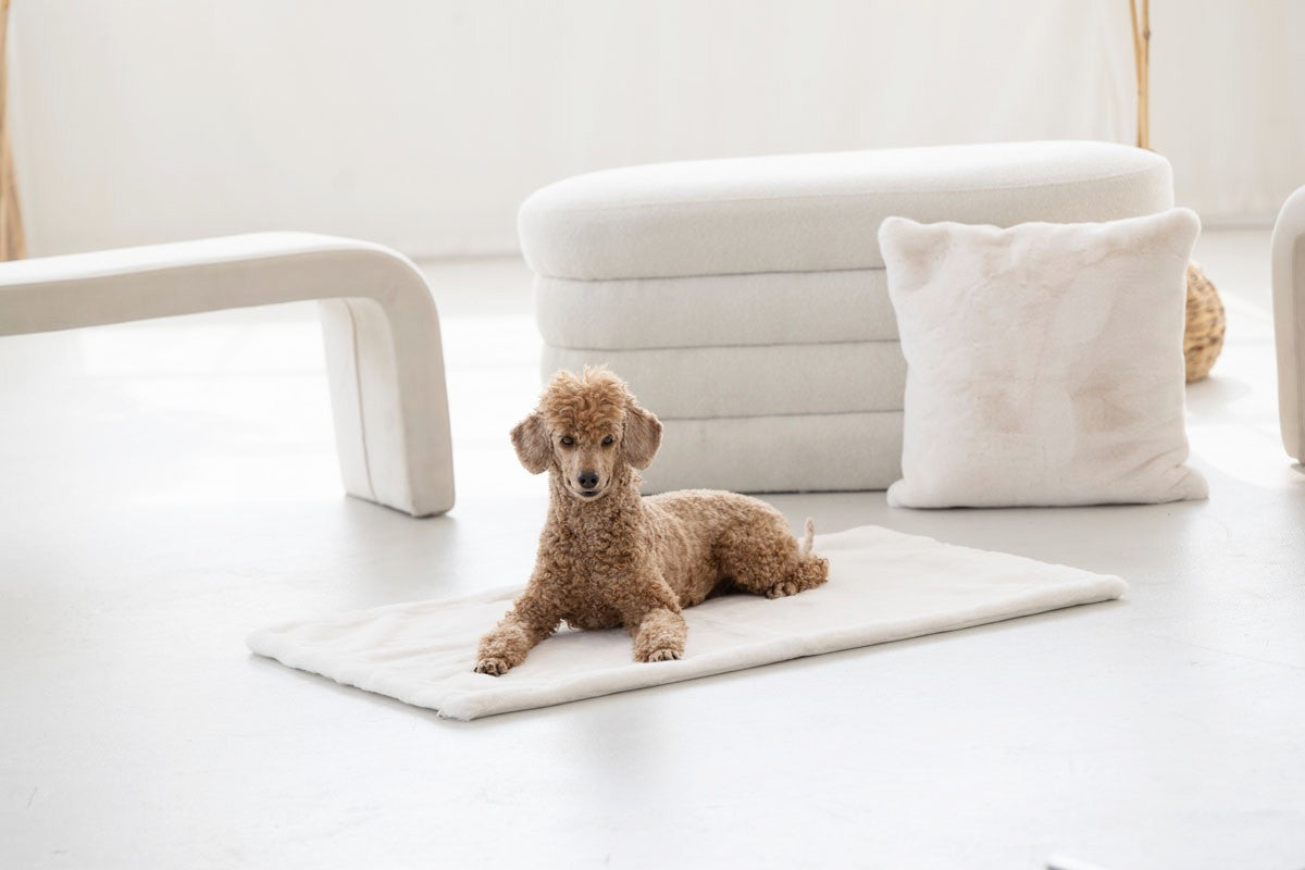 Hundedecke Webpelz