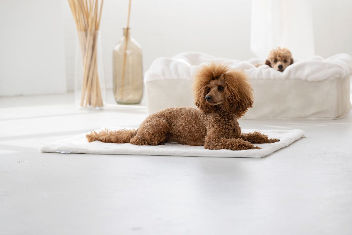 Hundedecke Webpelz
