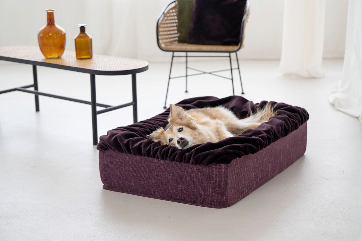 Hundebett Buddelbox®