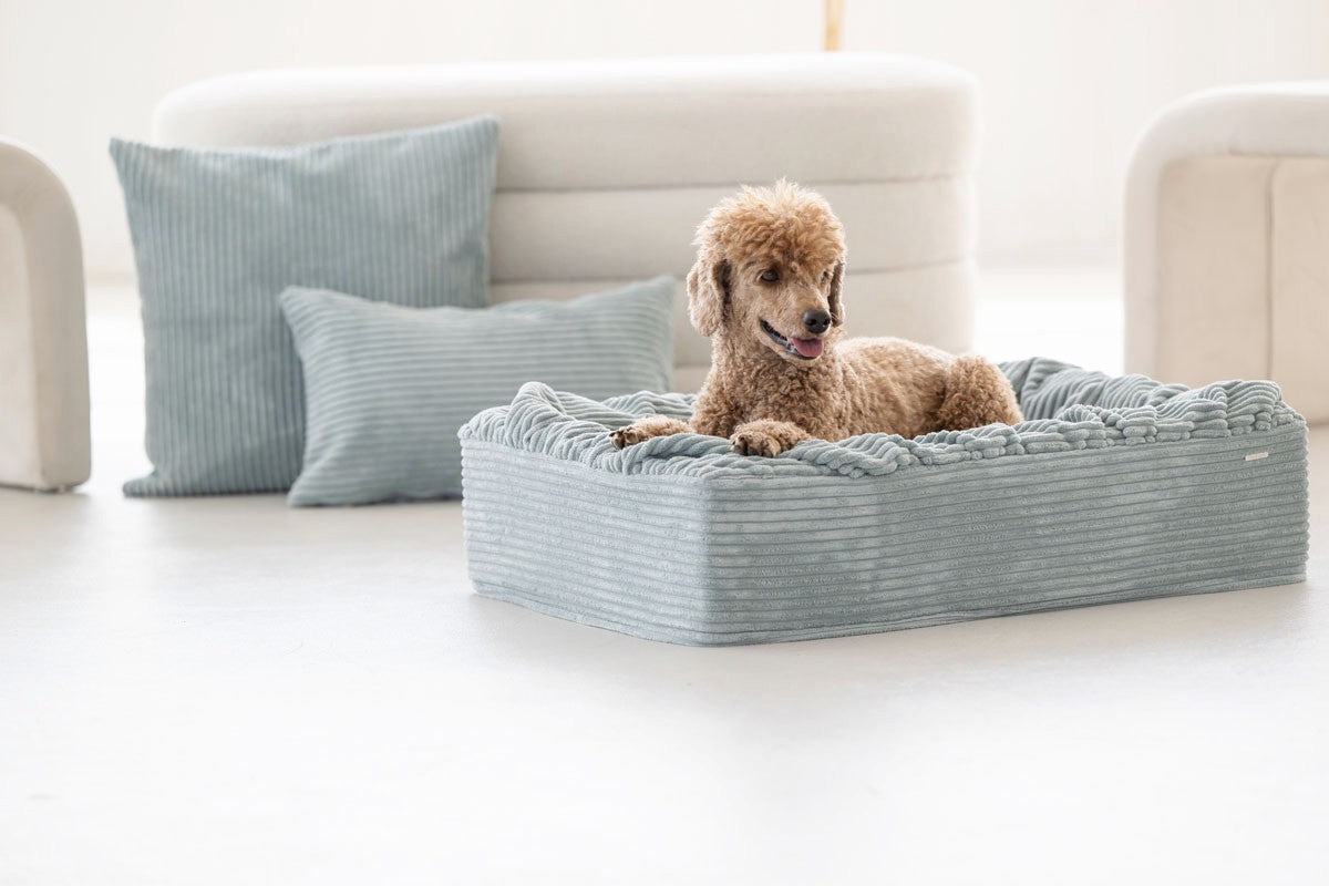 Hundebett Buddelbox® Cord