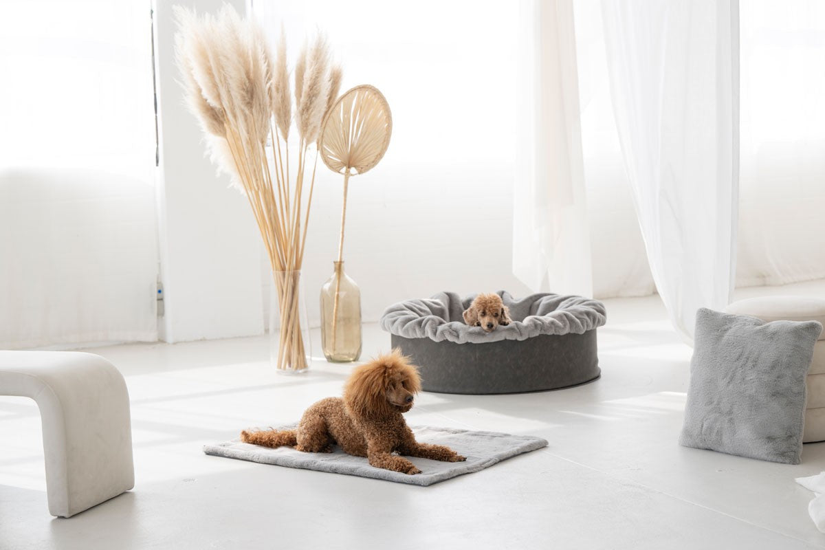 Hundebett Buddelnest®