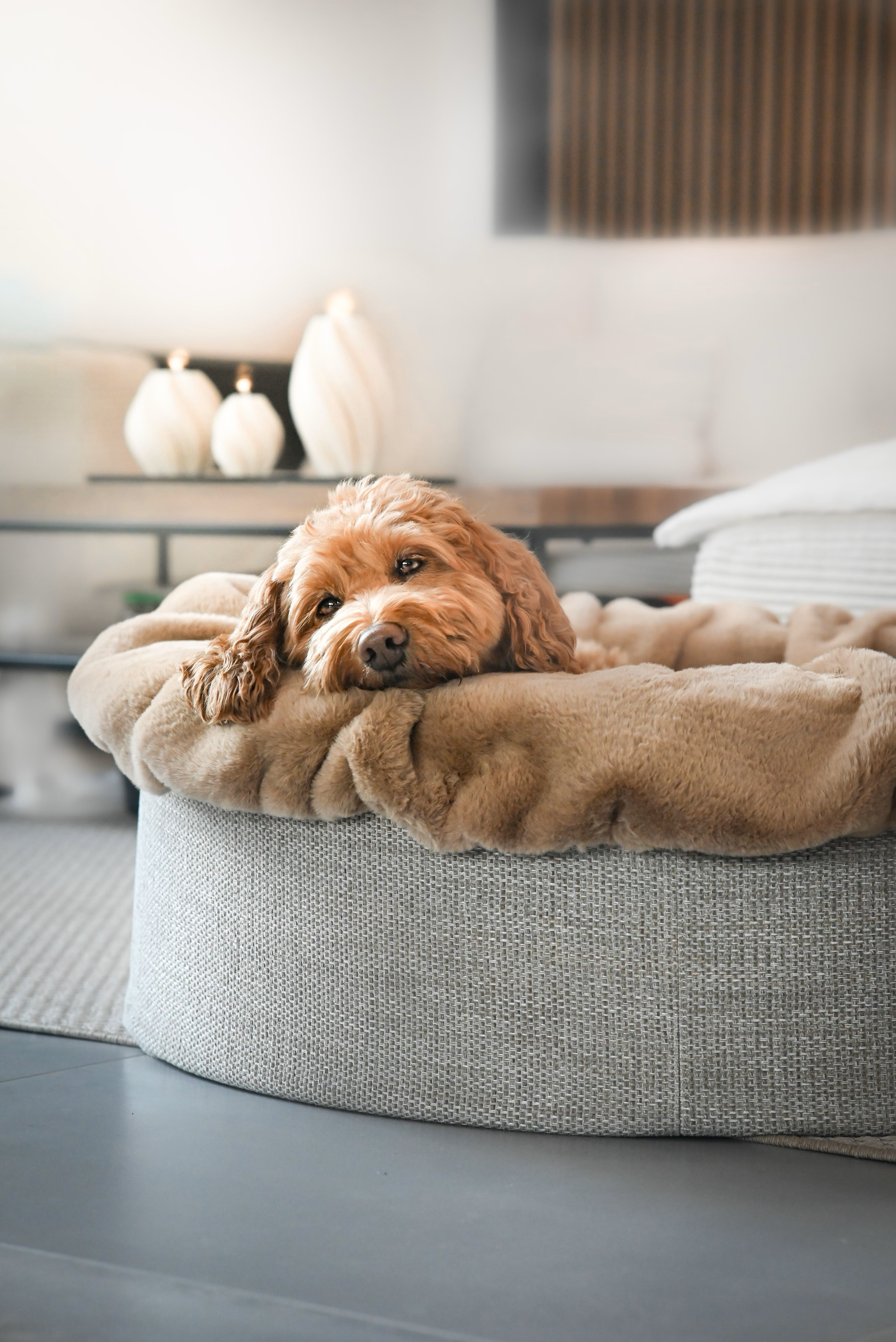 Hundebett Buddelnest®