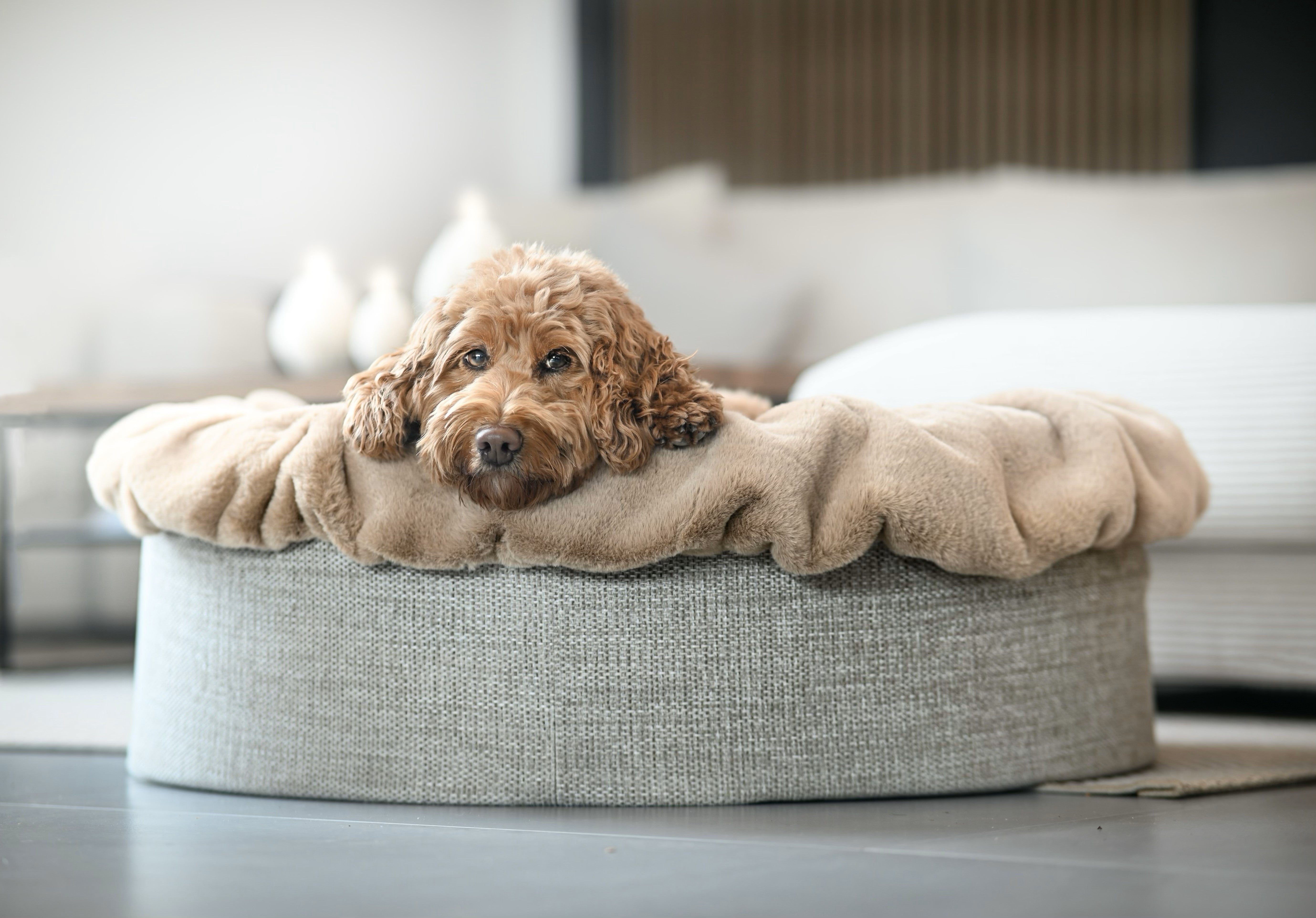 Hundebett Buddelnest®